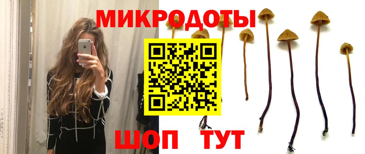 Псилоцибиновые грибы GOLDEN TEACHER Железноводск